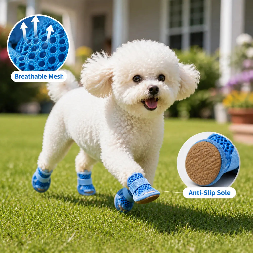 Chaussures respirantes antidérapantes pour chien, lot de 4