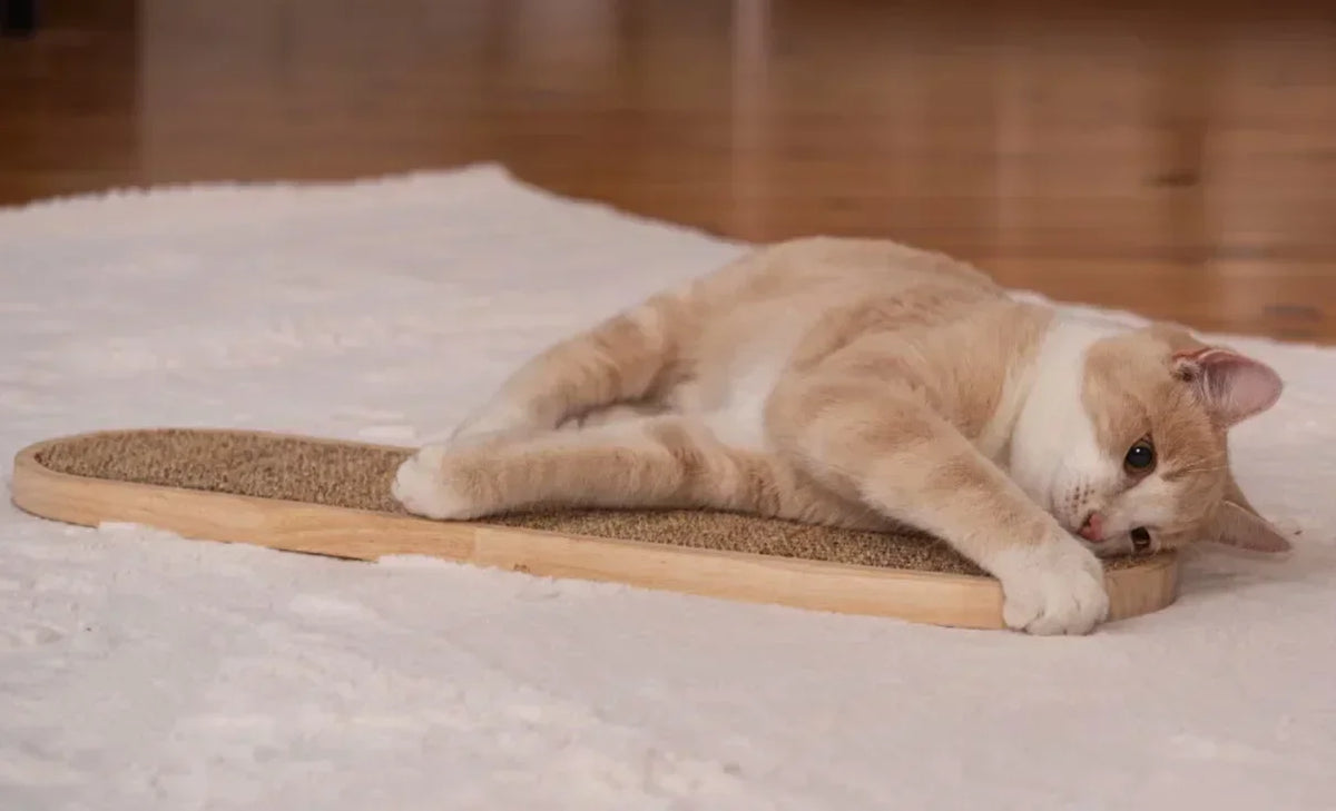 Griffoir mural en sisal pour chat – visuel 2