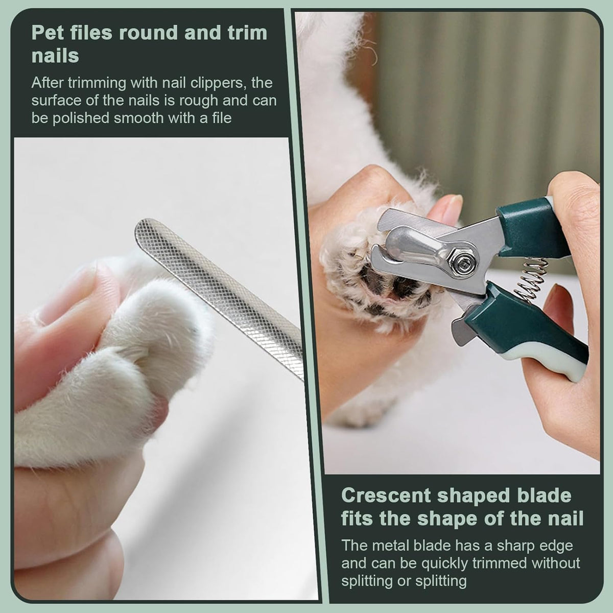 Kit de toilettage 8 en 1 pour chien et chat – visuel 4