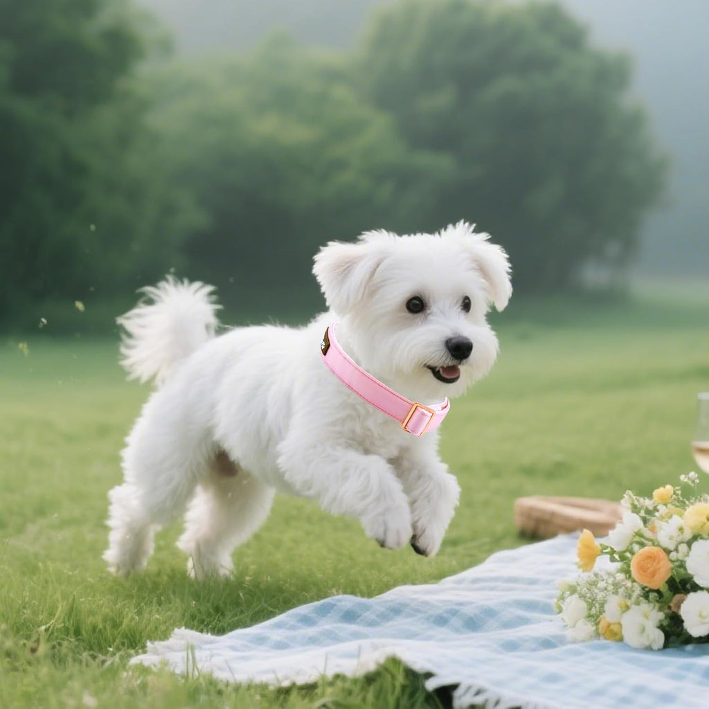Collier en soie rose pour chien – visuel 5